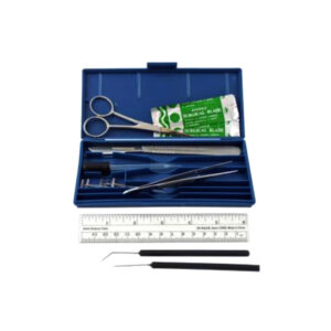 Dissecting Set